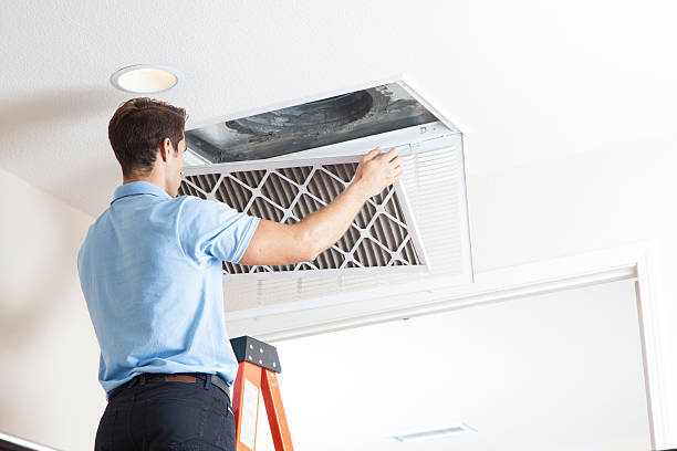 Best Solar-powered HVAC Systems in Crystal Lake, FL